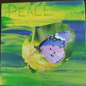Peace Butterfly Collage with acrylic paint on canvas board